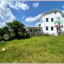 우리집 댕댕이 이미지