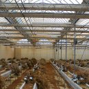 오수농장 이미지