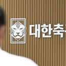 [단독] 與 단독 축구협회 청문회 추진…"정상화 모색" 이미지