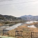 벚꽃 가득한 대구여행🌸