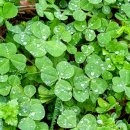 동복면 노인회관 이미지