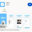 그루밍댕댕 이미지