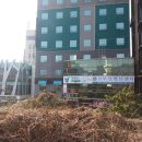 호수공원소나무숲길 이미지