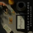 충청북도 중원교육문화원 | 타로미교육일지)충청북도 중원교육문화원 야간프로그램 : 인문학으로 보는 심리타로
