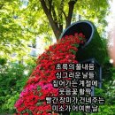 삼성카에어컨