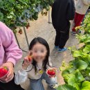 준태권도 이미지