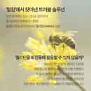 에스-메드(S-MED) | 메드라인)에스멜리틴 아크네 클렌징 무스 여드름 피부에 좋은 클렌저