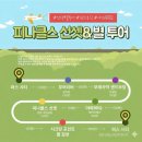 금 강  1 | 썬스투어 피나클스 투어 후기 🏜️ | 무어강, 란셀린, 피나클스 | 여자 혼자 퍼스 여행 | 준비물, 집합...