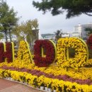 유성구청 버스정류장 이미지