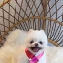 미용하고 가개 이미지