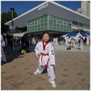 건강한태권도교육관 이미지