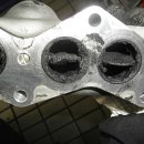 전.금강카크리닉 이미지