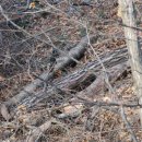 공설운동장 주차장 이미지