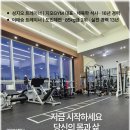 지오GYM