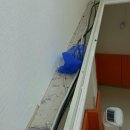 제이씨어린이집 이미지