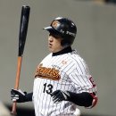 공때리네 이미지