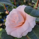 분동농장 이미지