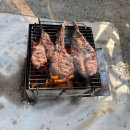 메가커피인제점 | [인제/ 독차지 캠핑 후기] 강아지 2마리와 첫 캠핑, 독립 사이트라 더 좋았던 곳