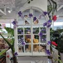 재희빌딩 | 광화문 세종문화회관 근처 꽃집 추천 재희플라워