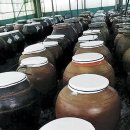 슬로우리제주 이미지