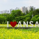 단원구청 이미지