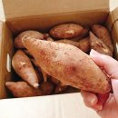 창바우농장 네이버블로그