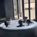 스테이481