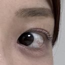 유림노르웨이공인중개사사무소 | [동탄 속눈썹펌 추천] 자연스럽게 예뻐진 누네하우스 속눈썹펌 후기😌✨