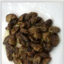 한시루