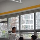 용인대 금호태권도 이미지