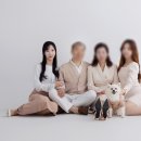 대전 가족사진 가격 조아패밀리 스튜디오 후기 +강아지 동반 가족사진
