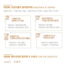 욜로오이소 이미지