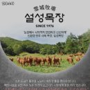 한우소야 이미지