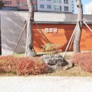 가온아리 이미지