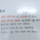 JOYUAM(조유암) 이미지
