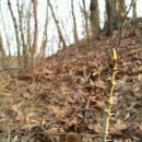 이유농장 이미지