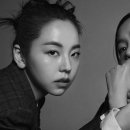 헤어미인방 얼루어코리아