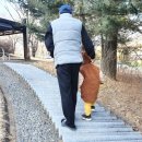 팽성레포츠공원 축구장 이미지