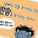 예스점핑다이어트 이미지