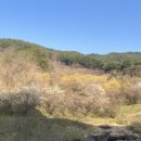 더케이지리산가족호텔 앞 이미지