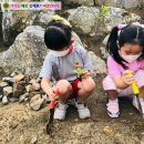은어송유치원 이미지