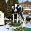 은아목장 이미지