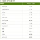 웰빙건강식품