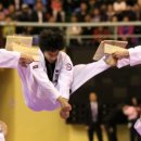 정원태권도 이미지