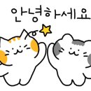 양산돼지갈비후라이드