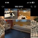 멍텔스컴바인 이미지