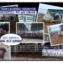 효진농장 이미지