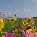 연천 호로고루 이미지