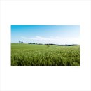 선들농장 이미지