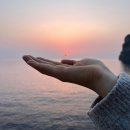 울릉도와 독도이야기펜션 이미지